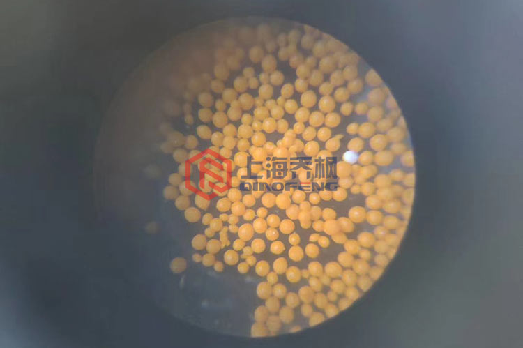 草莓香蕉丝瓜app下载都有哪些问题需要处理？